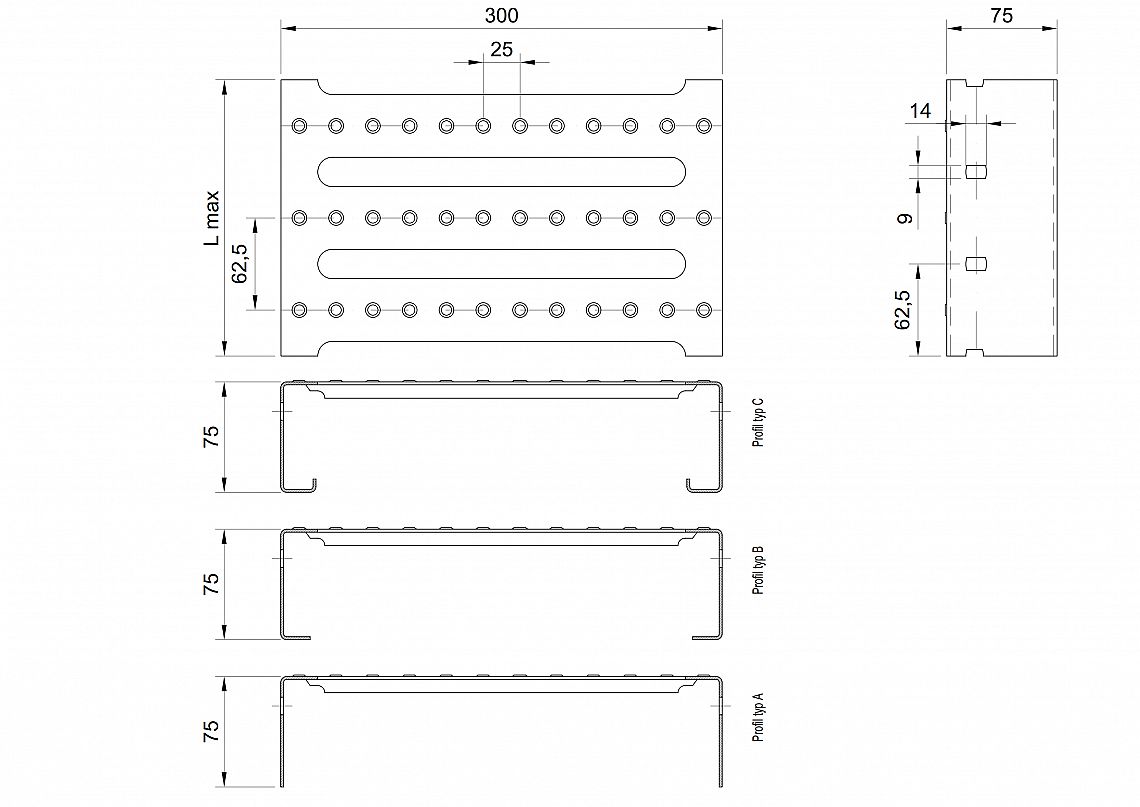 Profilové rošty PST-300-75/2 - nerez V2A (1.4301)-mořená