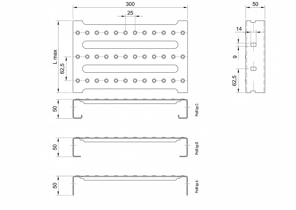 Profilové rošty PST-300-50/2 - nerez V2A (1.4301)-mořená